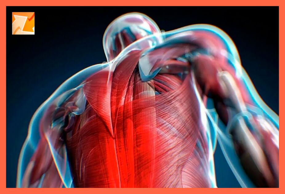 Rahatsızlığın özellikleri